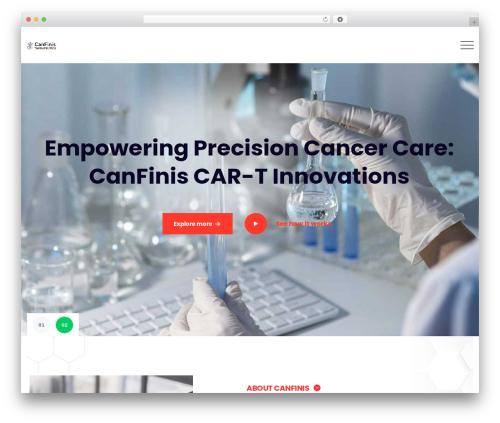 Leblix WordPress theme - canfinis.com