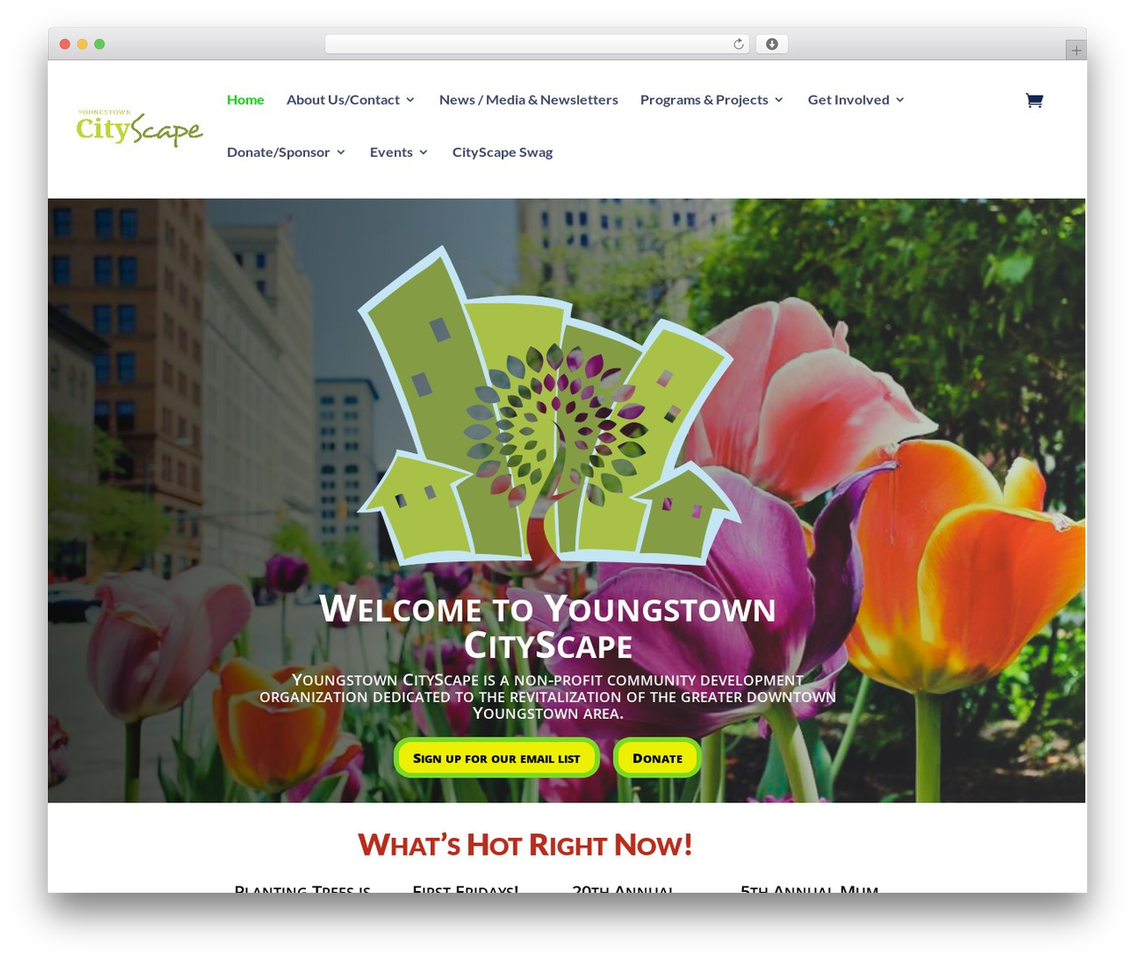 WordPress theme Divi - youngstowncityscape.org WordPress theme Divi - youngstowncityscape.org