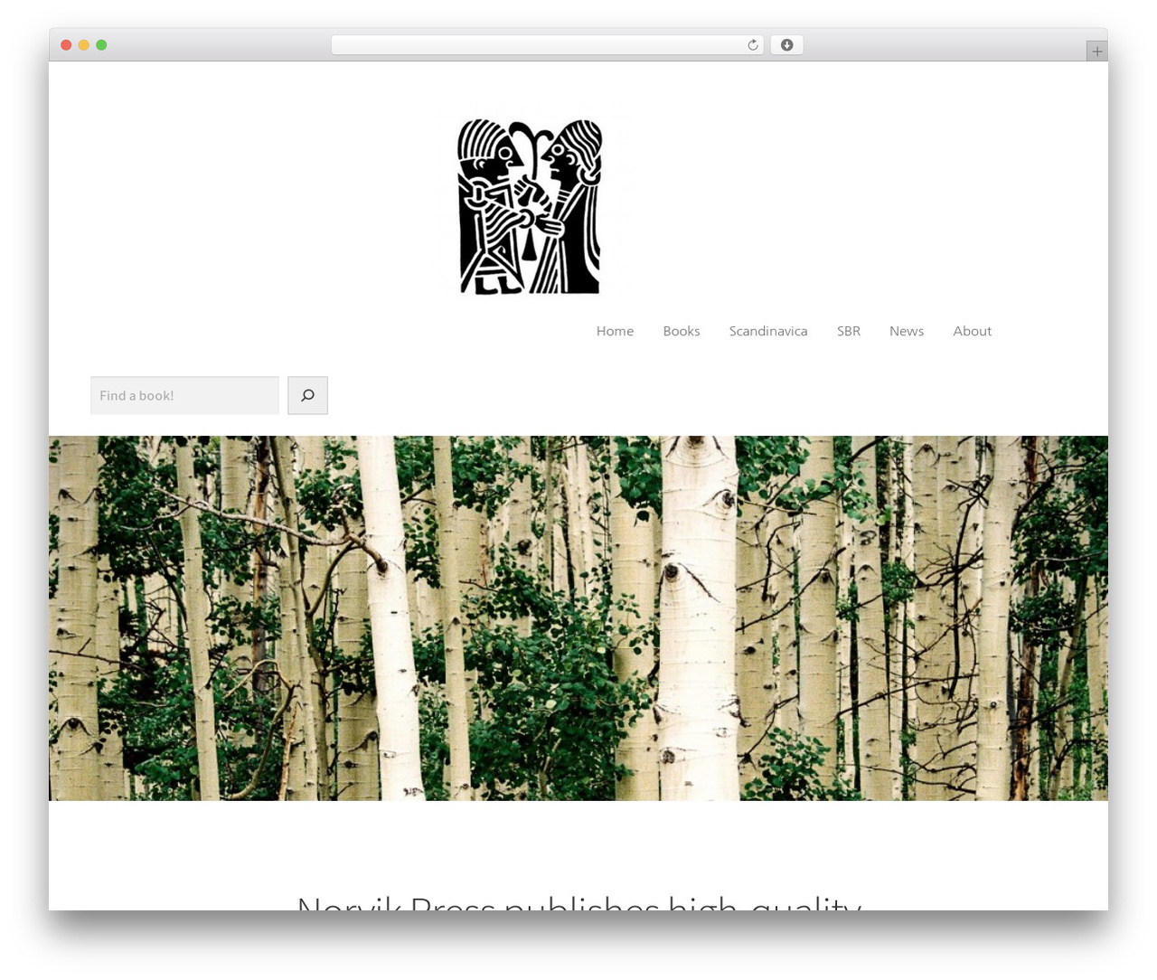 WordPress theme Storefront - norvikpress.com