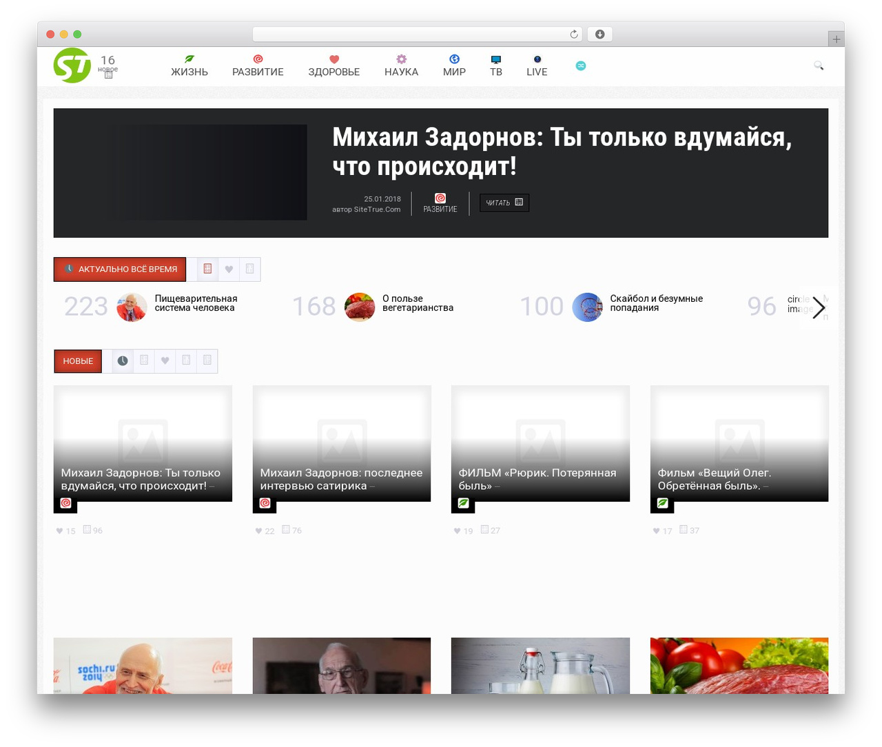 WordPress website theme Explicit - sitetrue.ru