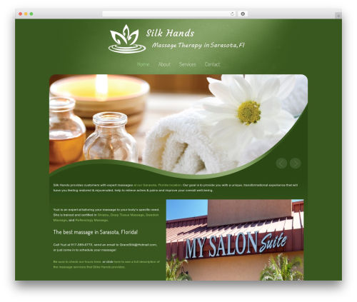 Beauty Center Wordpress Theme WordPress theme - silkhands.net