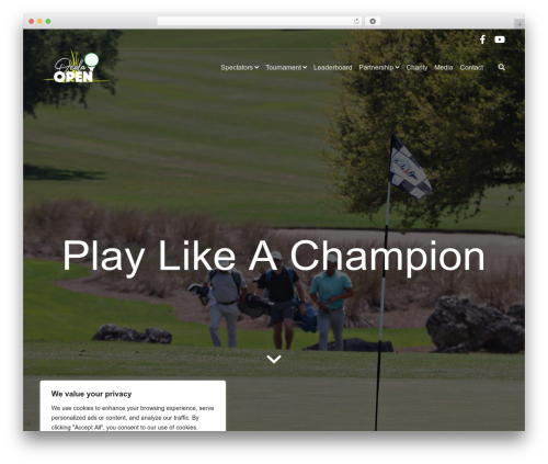 Best WordPress theme Rare - ocalaopen.com