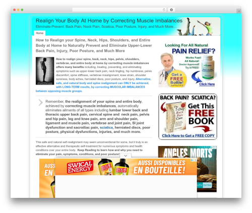 ClickBump WP theme - spinerealignment.com