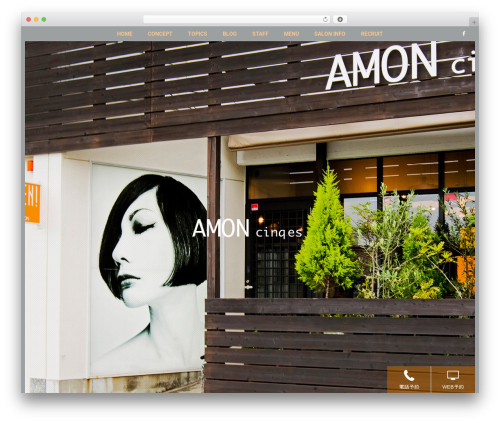cms_base2 theme WordPress - hairmake-amon.com