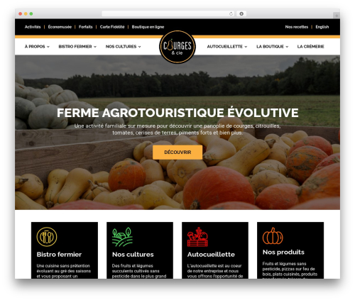 Divi WordPress theme - courgescie.com