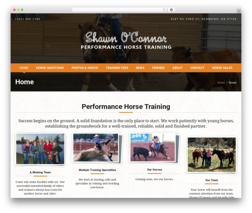 Curly extension WordPress plugin - shawnoconnorhorsetraining.com