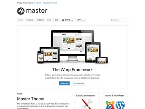 Master WordPress theme