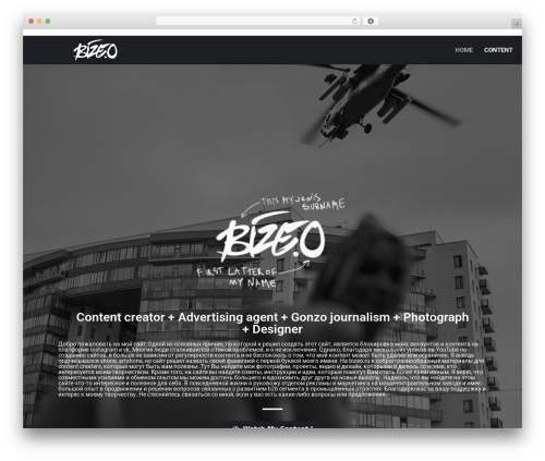 Osteo timeline for elementor WordPress plugin - bizeo.ru