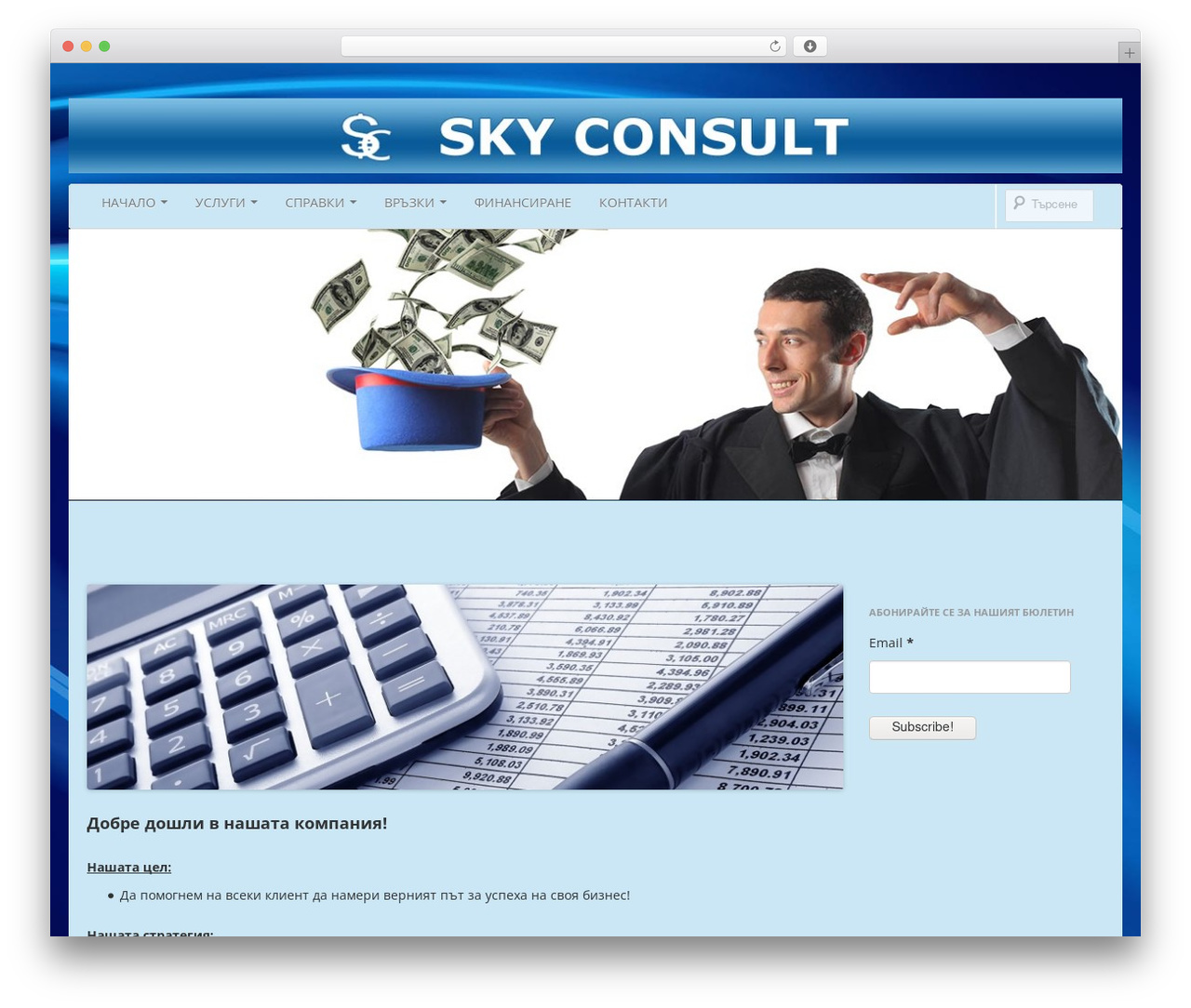 WordPress theme Boot Store - skyconsult.eu