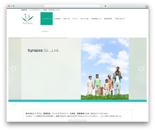 WordPress theme Sapphire WordPress - synapse111.com