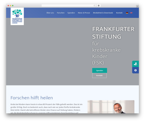 Mystickyelements pro WordPress plugin - kinderkrebsstiftung-frankfurt.de