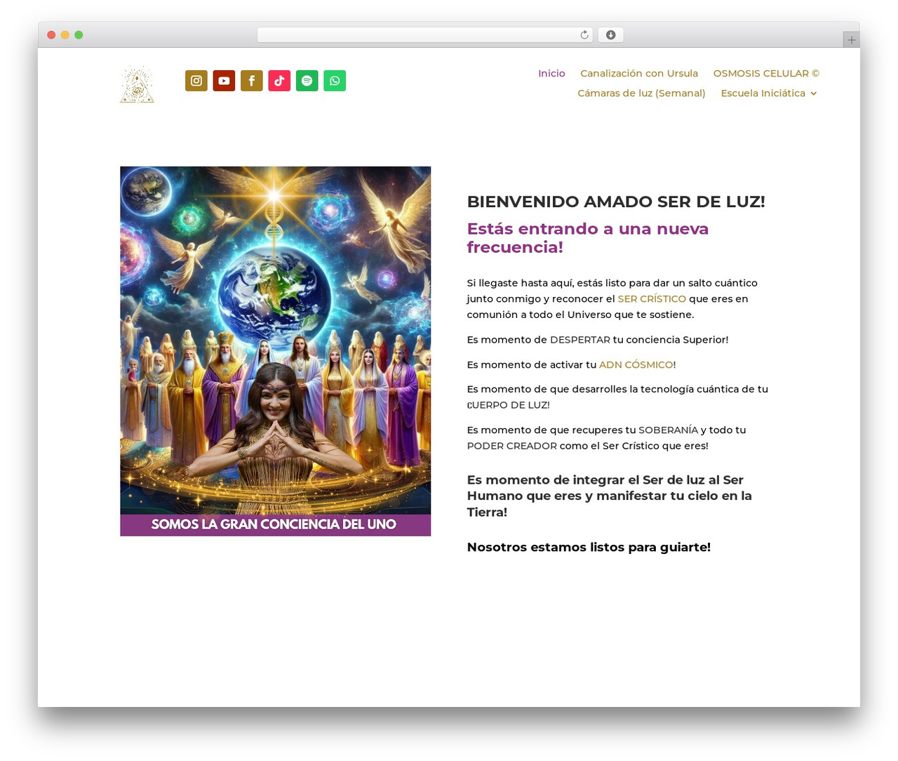 Divi WordPress theme - ursulacanalizadora.com