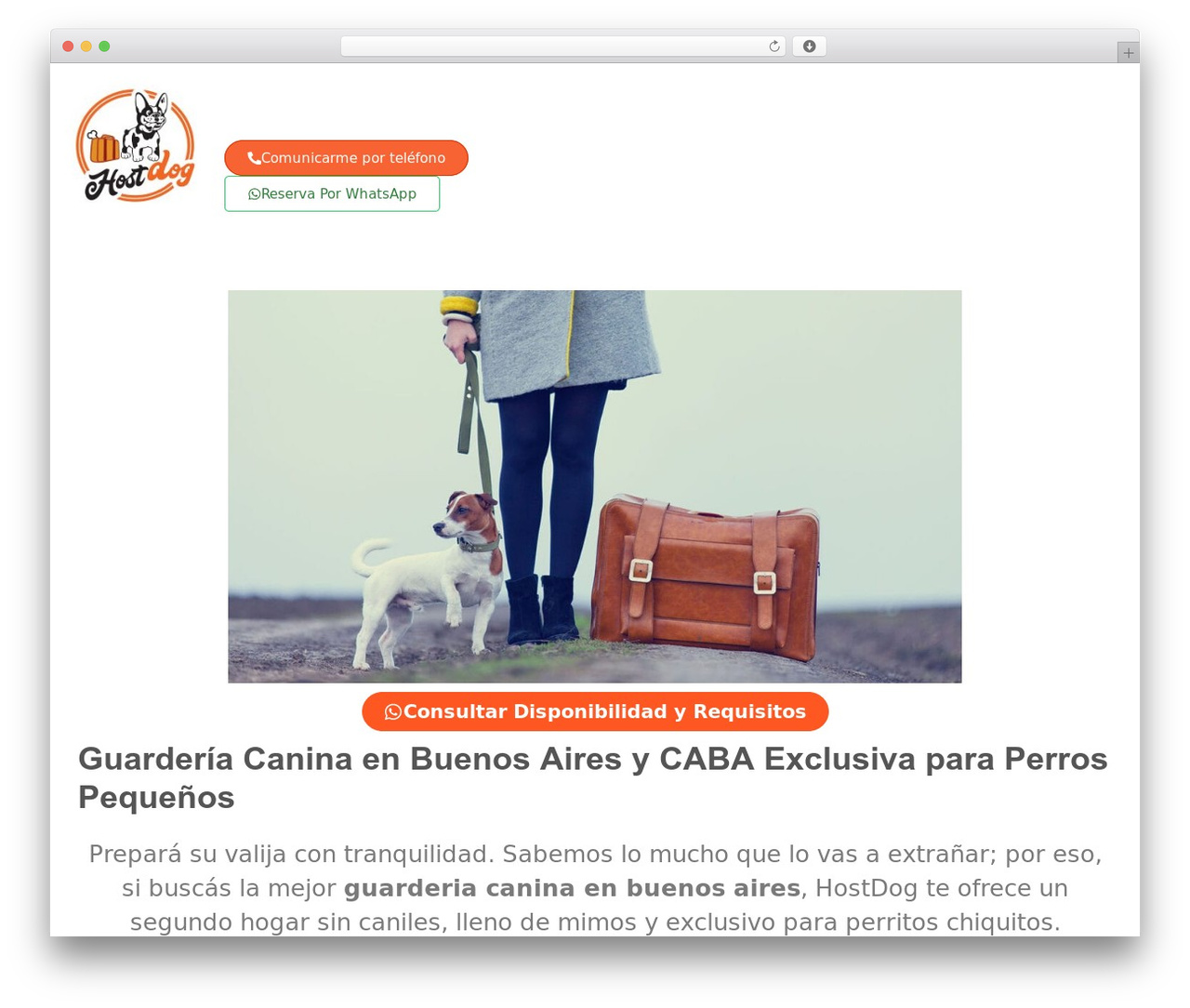 Hello Elementor theme WordPress - ciudadmascotera.com.ar Hello Elementor theme WordPress - ciudadmascotera.com.ar