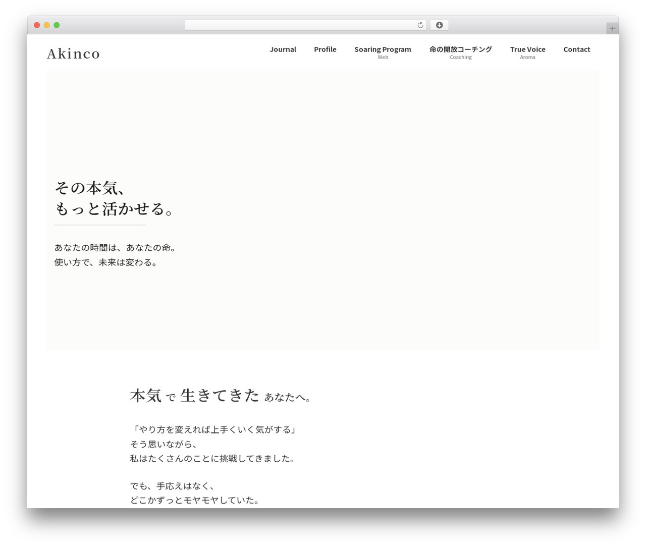 Lightning WordPress theme - dropworks.jp