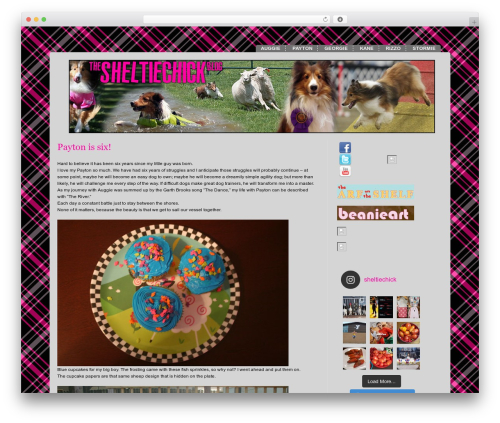 Modularity Lite WordPress theme design - sheltiechick.com