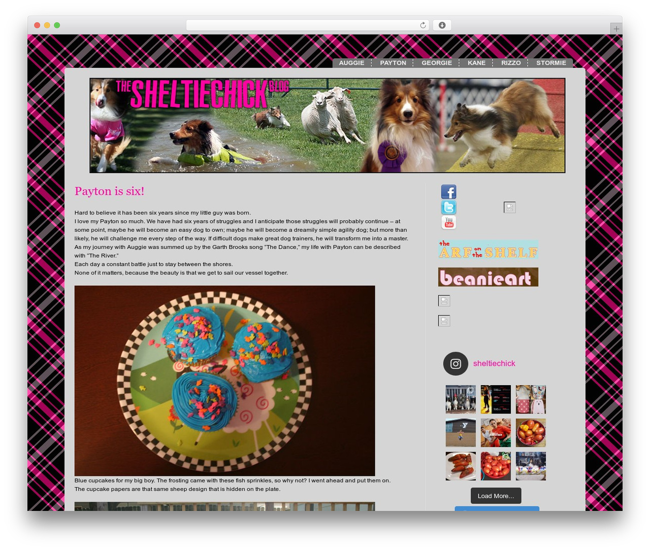 Modularity Lite WordPress theme design - sheltiechick.com Modularity Lite WordPress theme design - sheltiechick.com