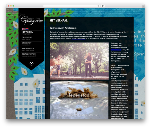Theme WordPress KingSize - springsnow.nl