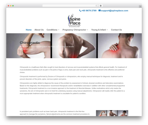 WordPress theme Divi - spineplace.com