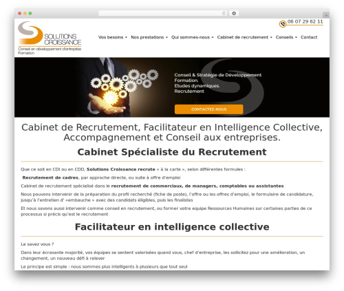 WordPress theme WP Bootstrap Suricate - solutions-croissance.com