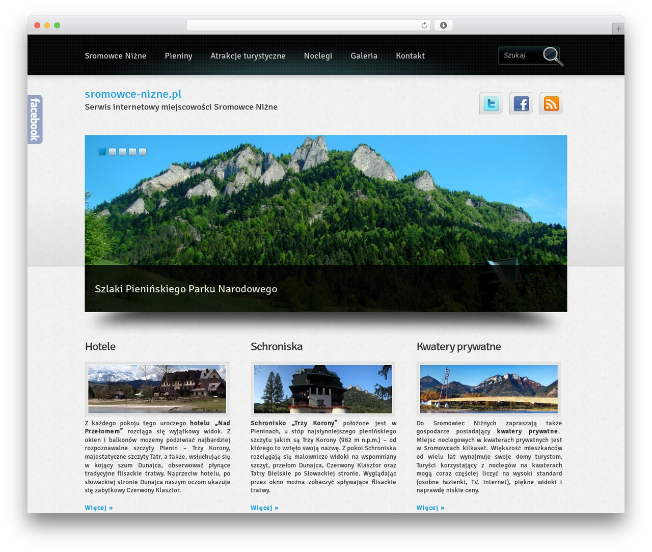 WordPress theme Boldy - sromowce-nizne.pl