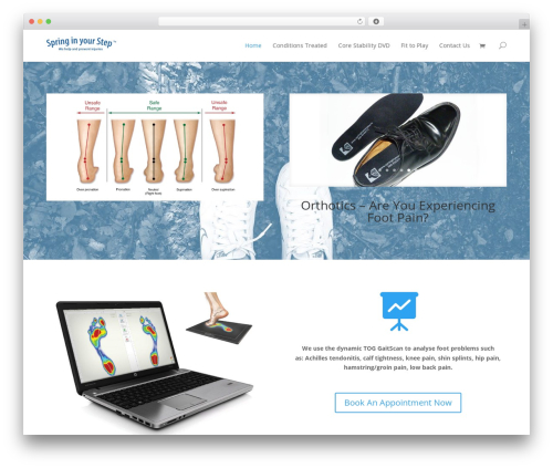 WordPress theme Divi - springinyourstep.ie