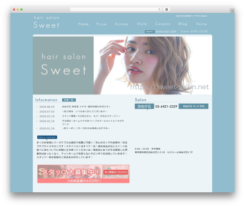 WordPress theme rdsgn - sweet-salon.net