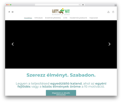 Bs barion pixel WordPress plugin - happyway.hu