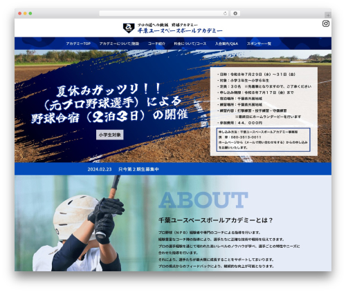Site WordPress page theme - cyba-baseball.com