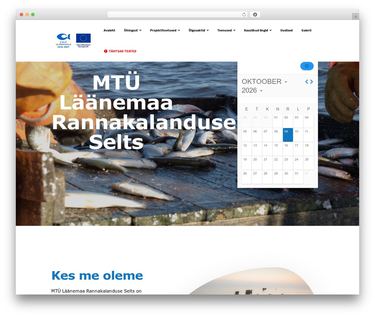 WordPress theme Ekko - lrs.ee