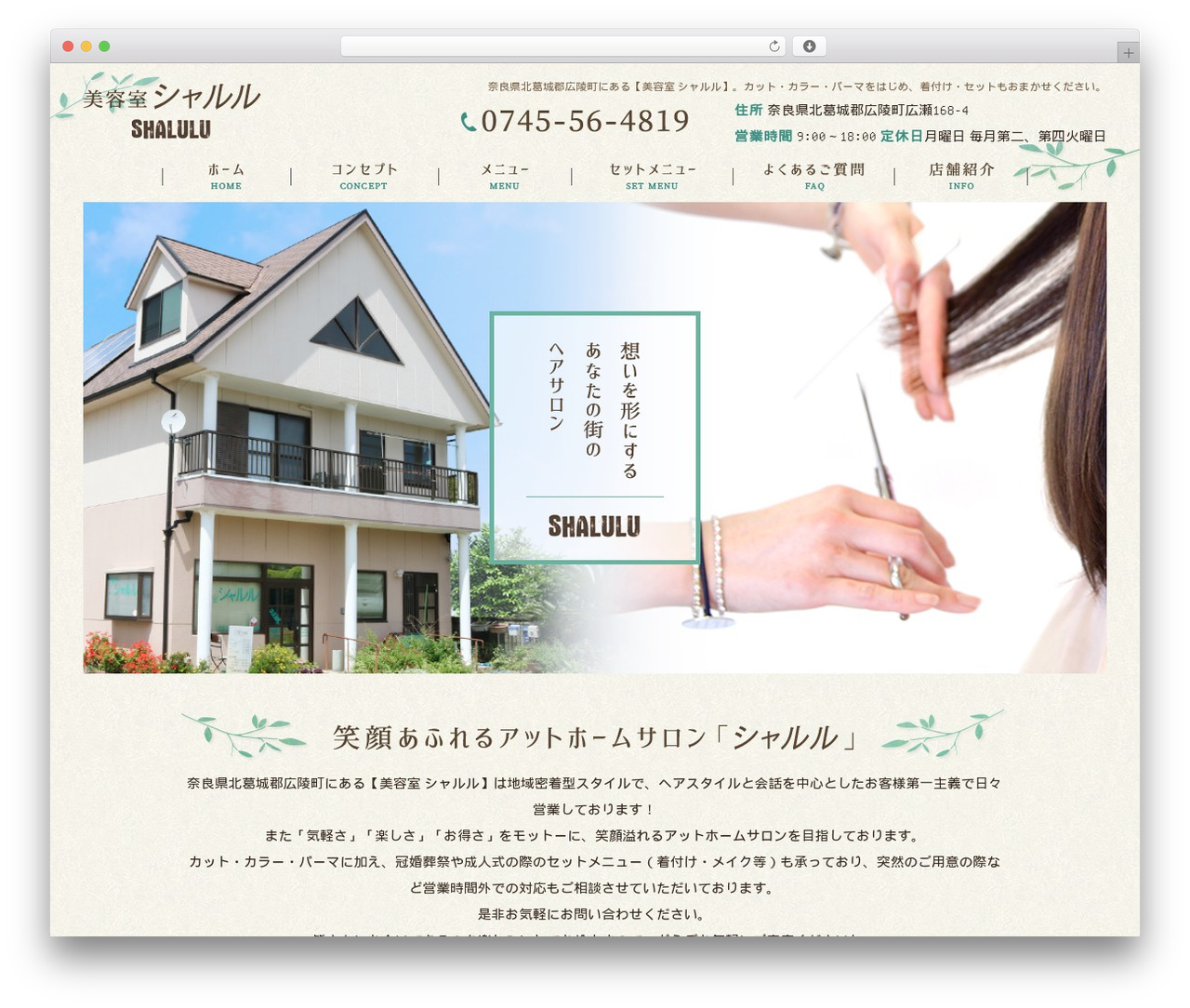 WordPress theme Themify Basic - shaluluhair.com