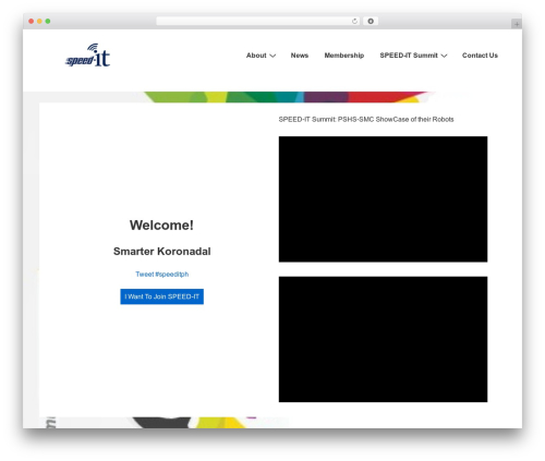 Salient widgets WordPress plugin - speeditph.org
