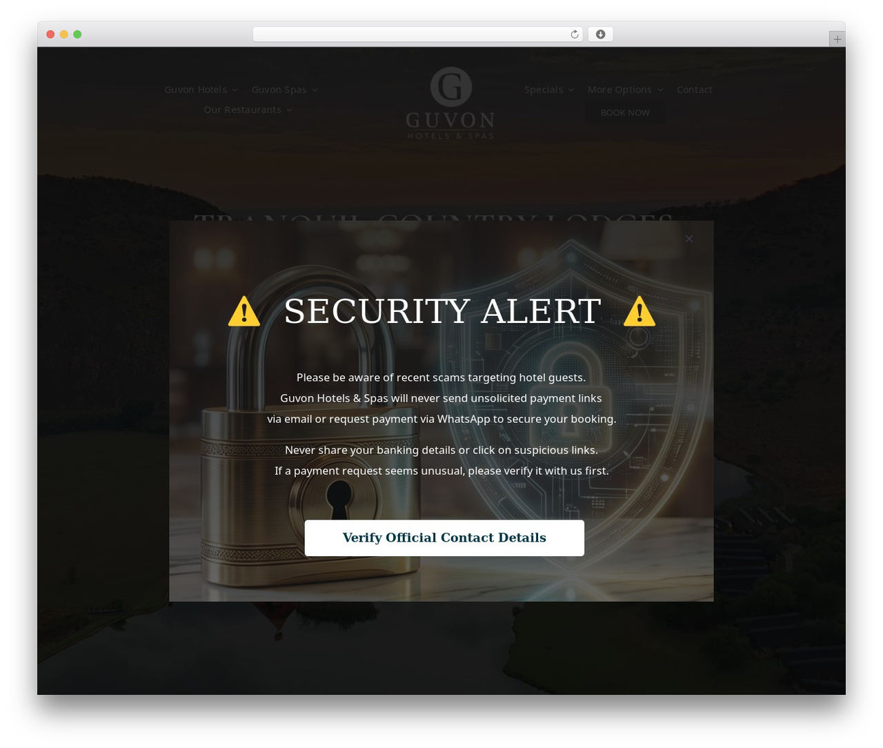 Avada theme WordPress - guvonhotels.co.za