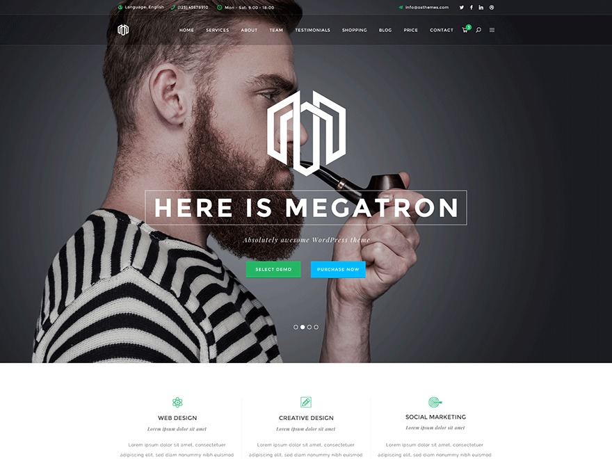 Megatron WordPress theme Megatron WordPress theme