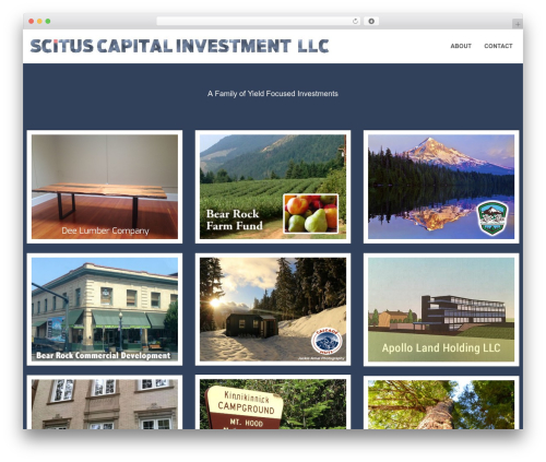 Swatch theme WordPress - scituscapitalinvestment.com