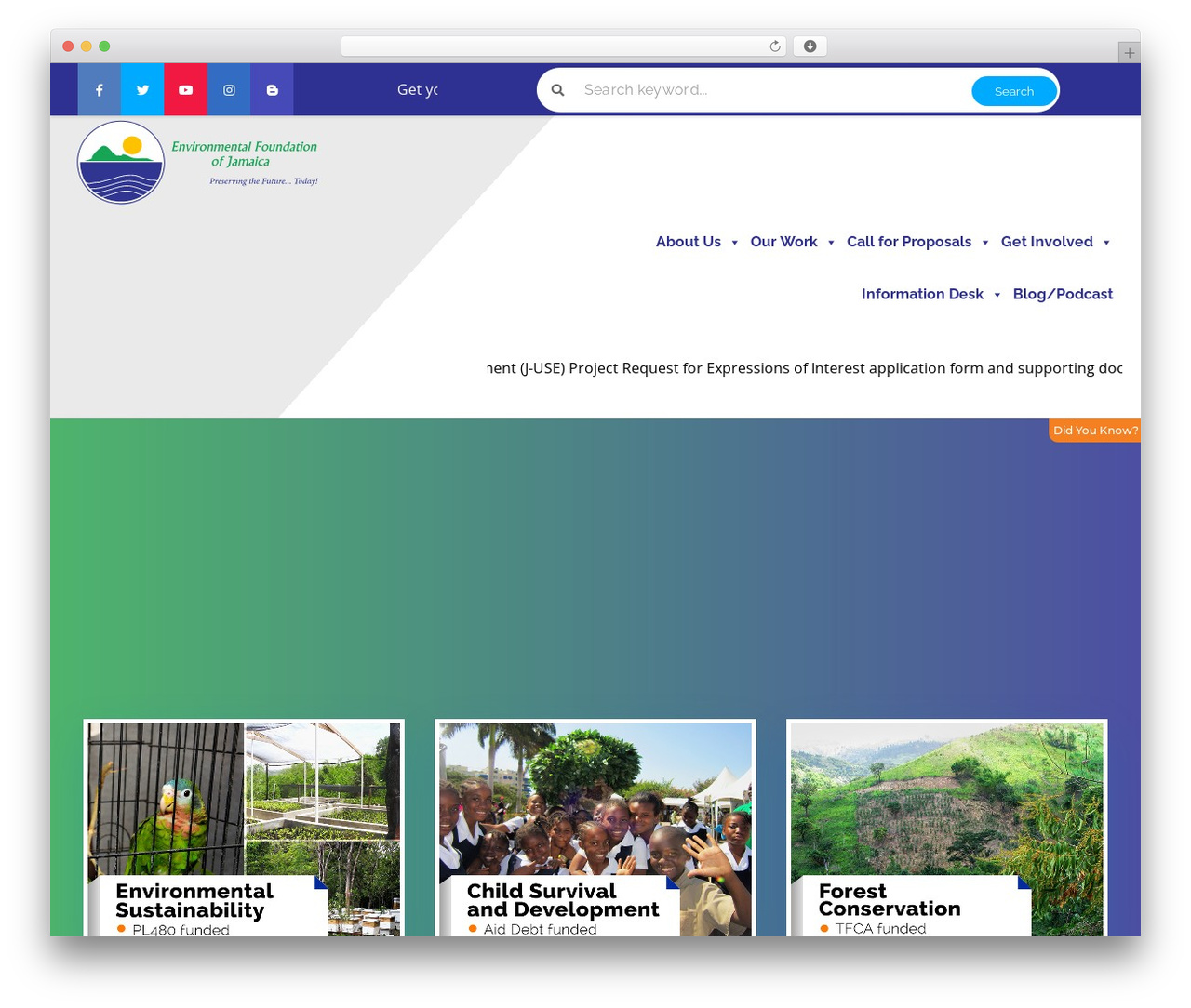 Theme WordPress Divi - efj.org.jm