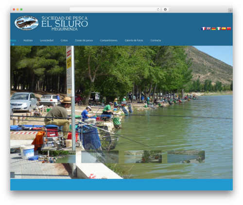 Multilingue WordPress plugin - sdpelsiluro.com