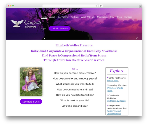 Divipasswords WordPress plugin - elizabethwelles.com