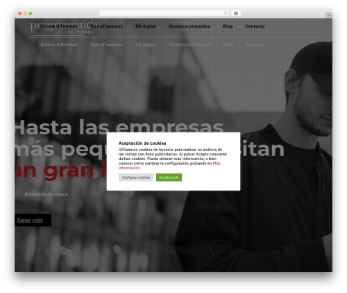 Struktur WordPress store theme - programatica.es