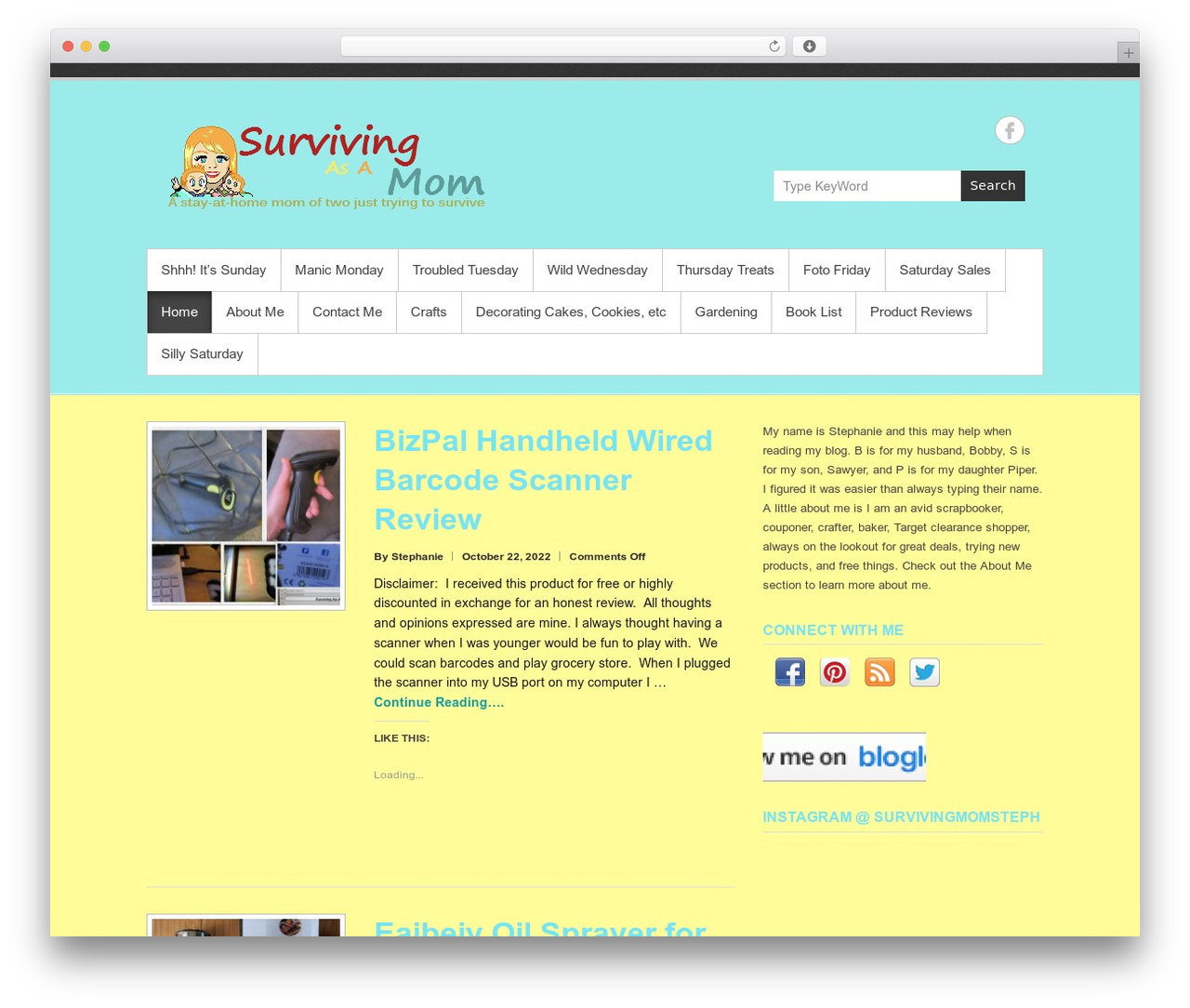 Theme WordPress Simple Catch - survivingasamom.com Theme WordPress Simple Catch - survivingasamom.com