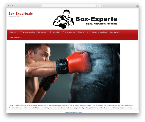 Affiliatetheme amazon WordPress plugin - box-experte.de