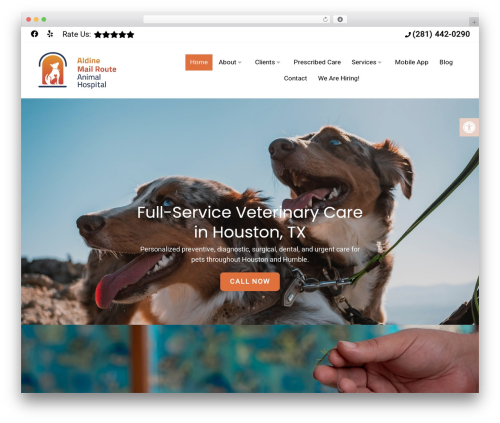 Theme WordPress Parent Theme - aldinemailrouteanimalhospital.com