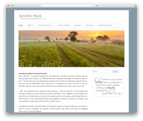 Tiny Forge WordPress theme - sleekpsychotherapy.com