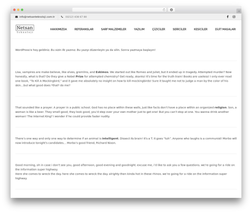 WordPress theme Lambda - netsanteknoloji.com.tr