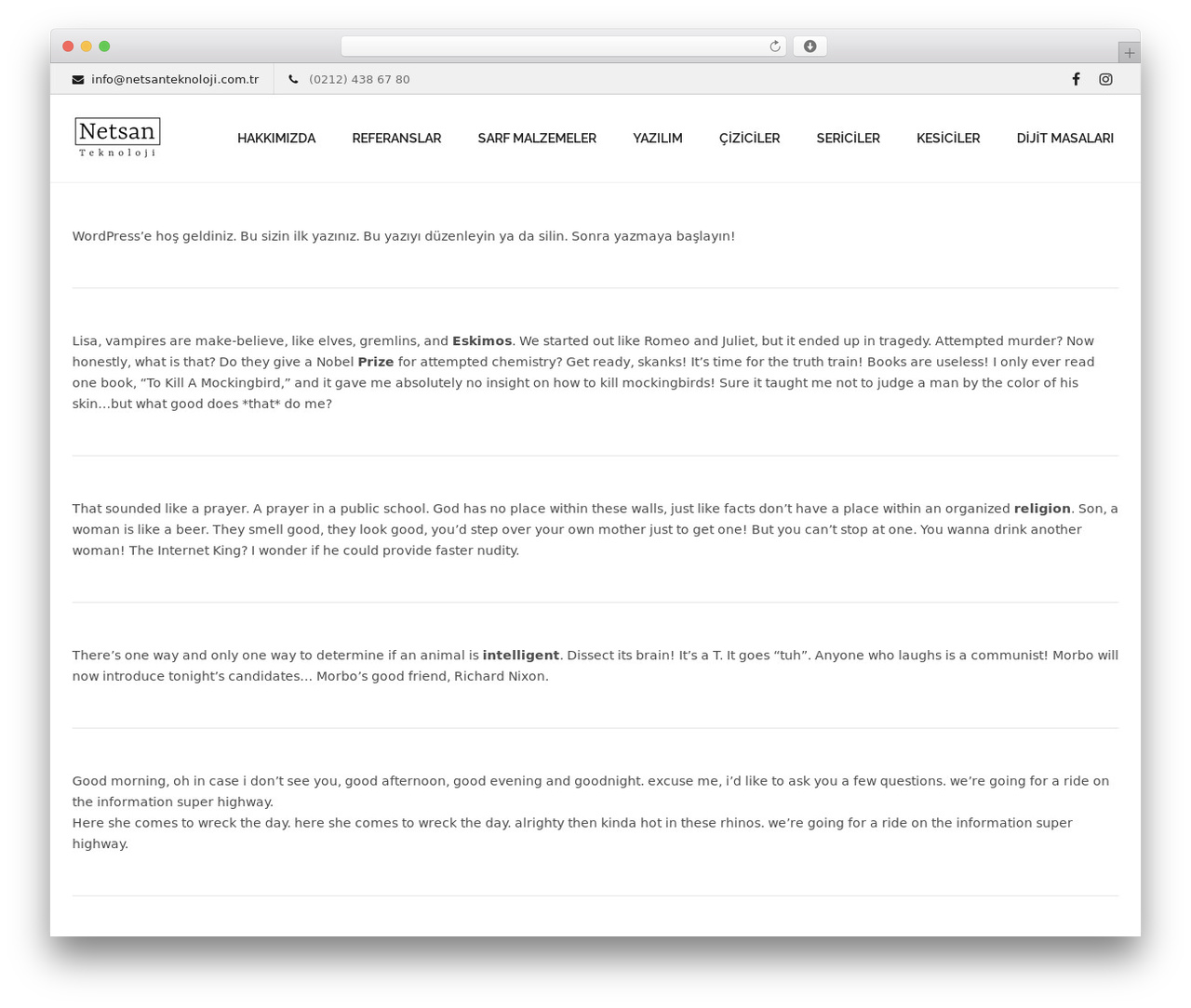 WordPress theme Lambda - netsanteknoloji.com.tr