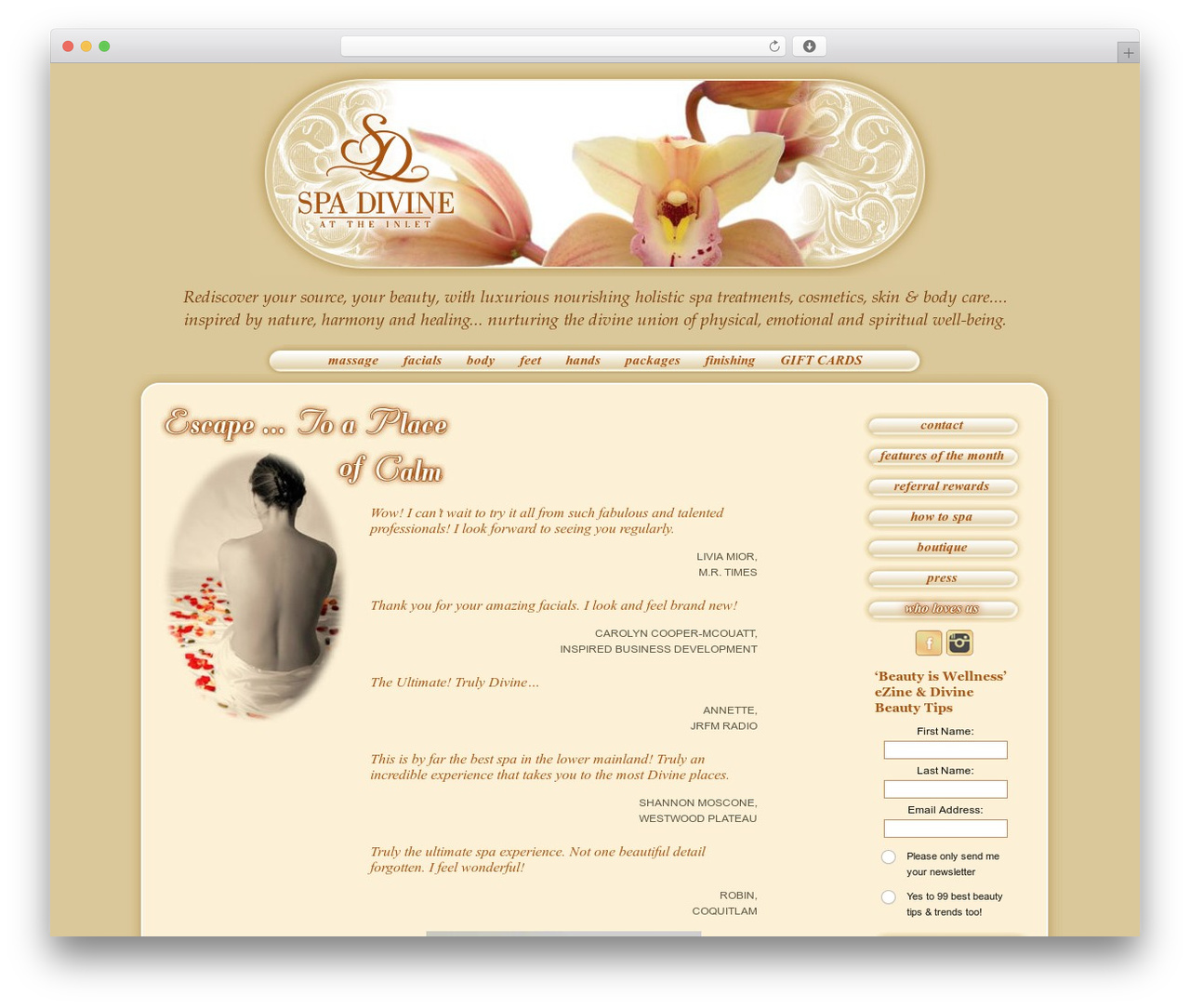 Basic2Col WP theme - spadivine.ca