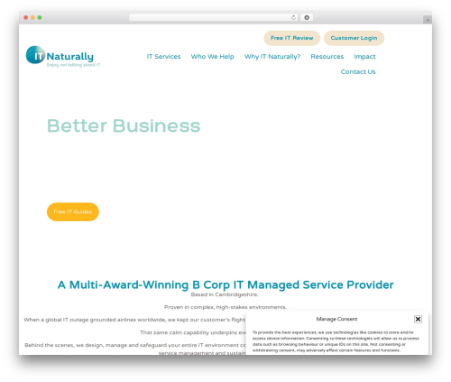 Hello Elementor WordPress theme - itnaturally.com