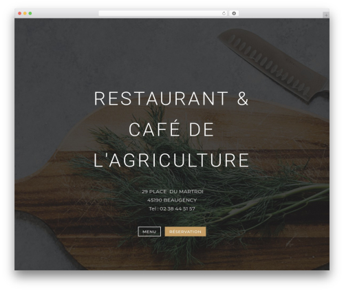 Divi quasi sticky footer WordPress plugin - cafedelagriculture.fr