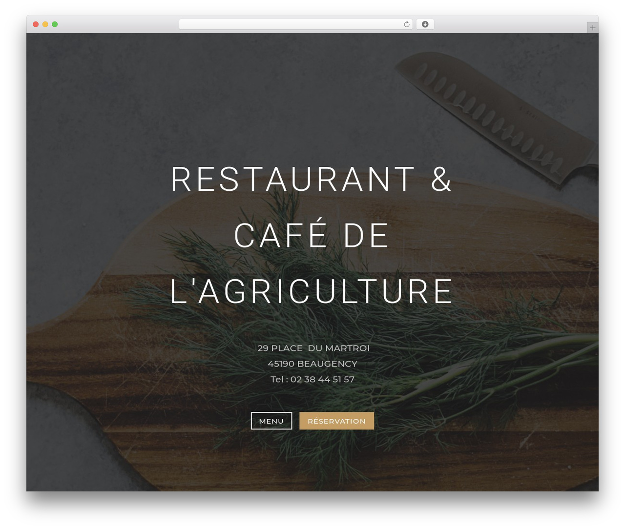 Theme WordPress Divi - cafedelagriculture.fr