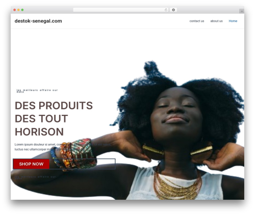 Classified listing pro WordPress plugin - destok-senegal.com