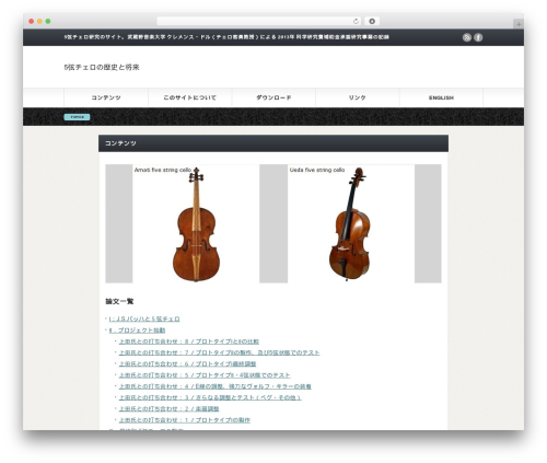 Gorgeous WordPress theme - 5stringcello.com
